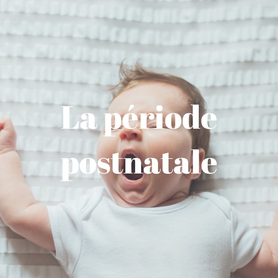 atelier postpartum lille